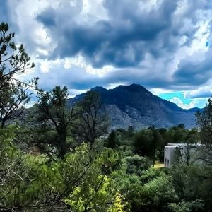 Meet your Posher, Leigh